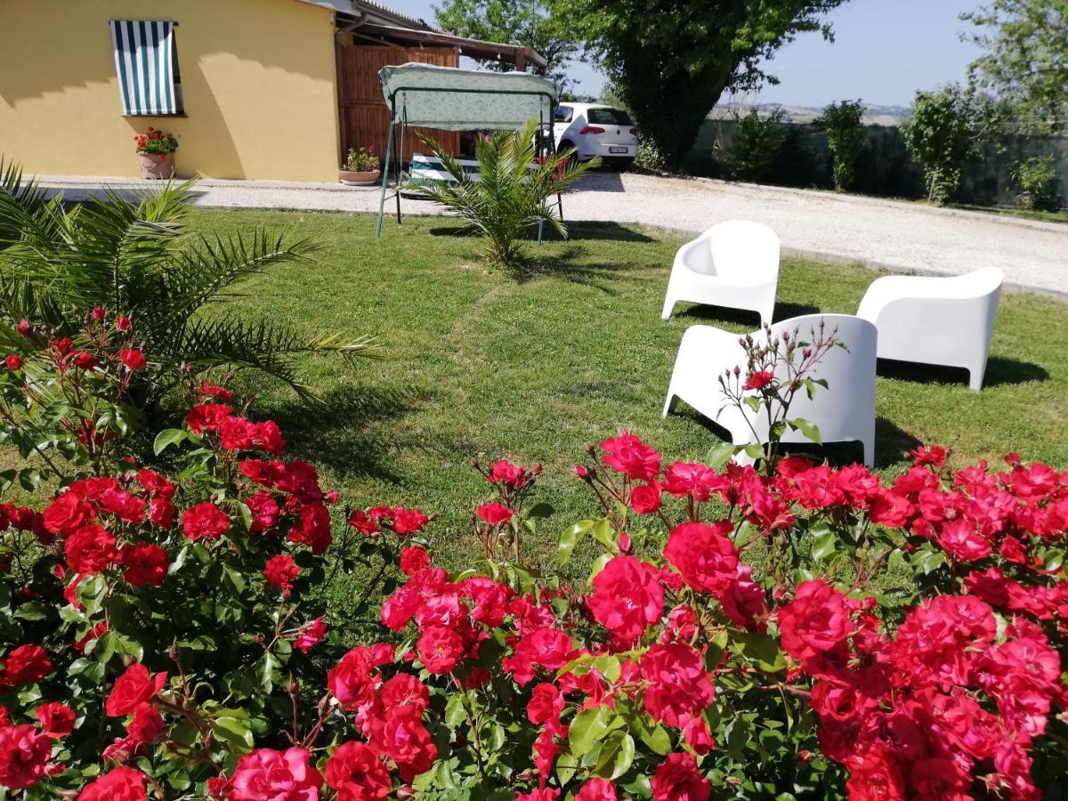 Casa Vacanze Angelica Ostra Vetere Экстерьер фото