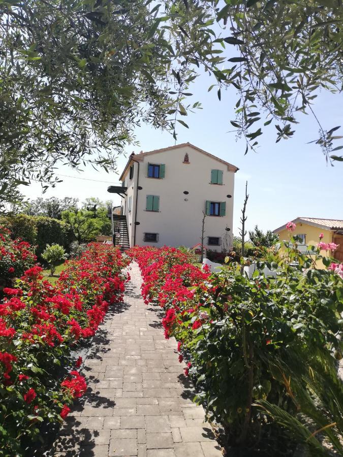 Casa Vacanze Angelica Ostra Vetere Экстерьер фото