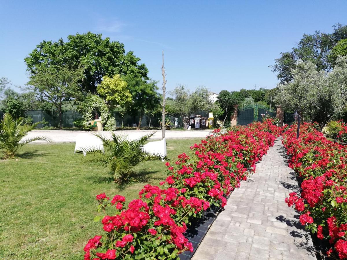 Casa Vacanze Angelica Ostra Vetere Экстерьер фото